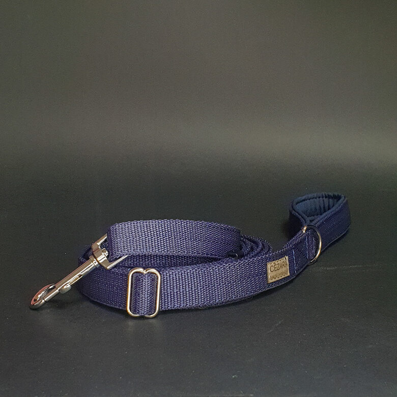 Regulējama polipropilēna pavada, 2cm plata (dažādas krāsas)