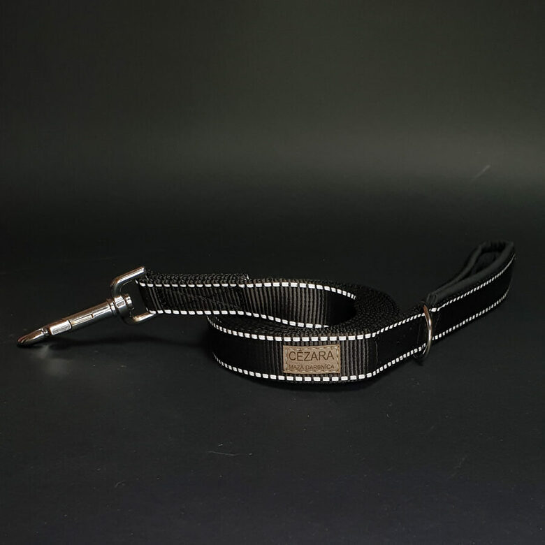 Regulējama atstarojoša polipropilēna pavada, 2,5cm plata