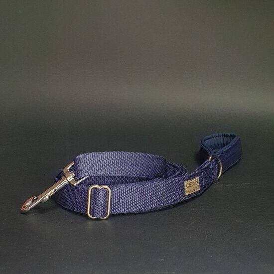 Regulējama polipropilēna pavada, 2cm plata (dažādas krāsas)