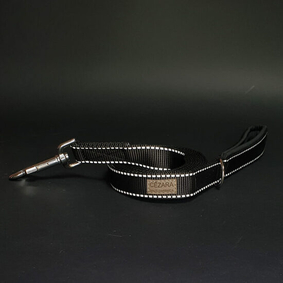 Regulējama atstarojoša polipropilēna pavada, 2,5cm plata