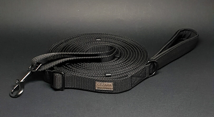 Regulējama polipropilēna pavada, 2,5cm plata (dažādas krāsas)