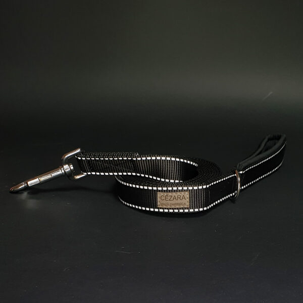 Atstarojoša polipropilēna pavada, 2,5cm plata