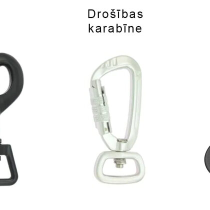 Karabīnes